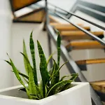 Hillview Duplex Penthouse Apartment *