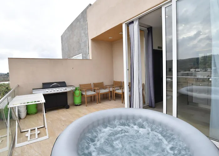 Hillview Duplex Penthouse 公寓