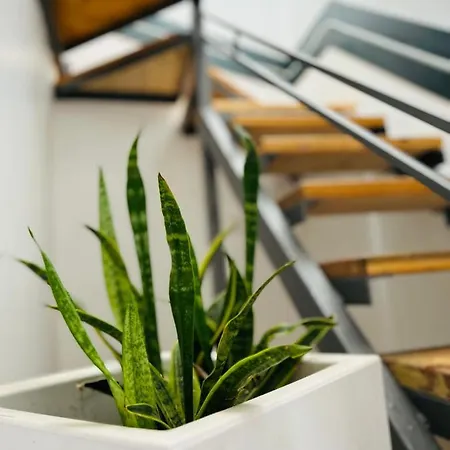 Hillview Duplex Penthouse Apartment *